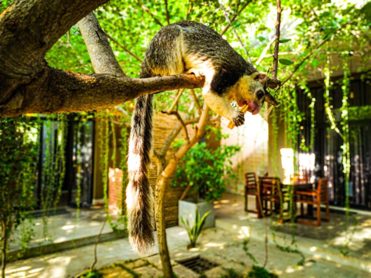Isi Arana Eco Villa Anuradhapura Bagian luar foto