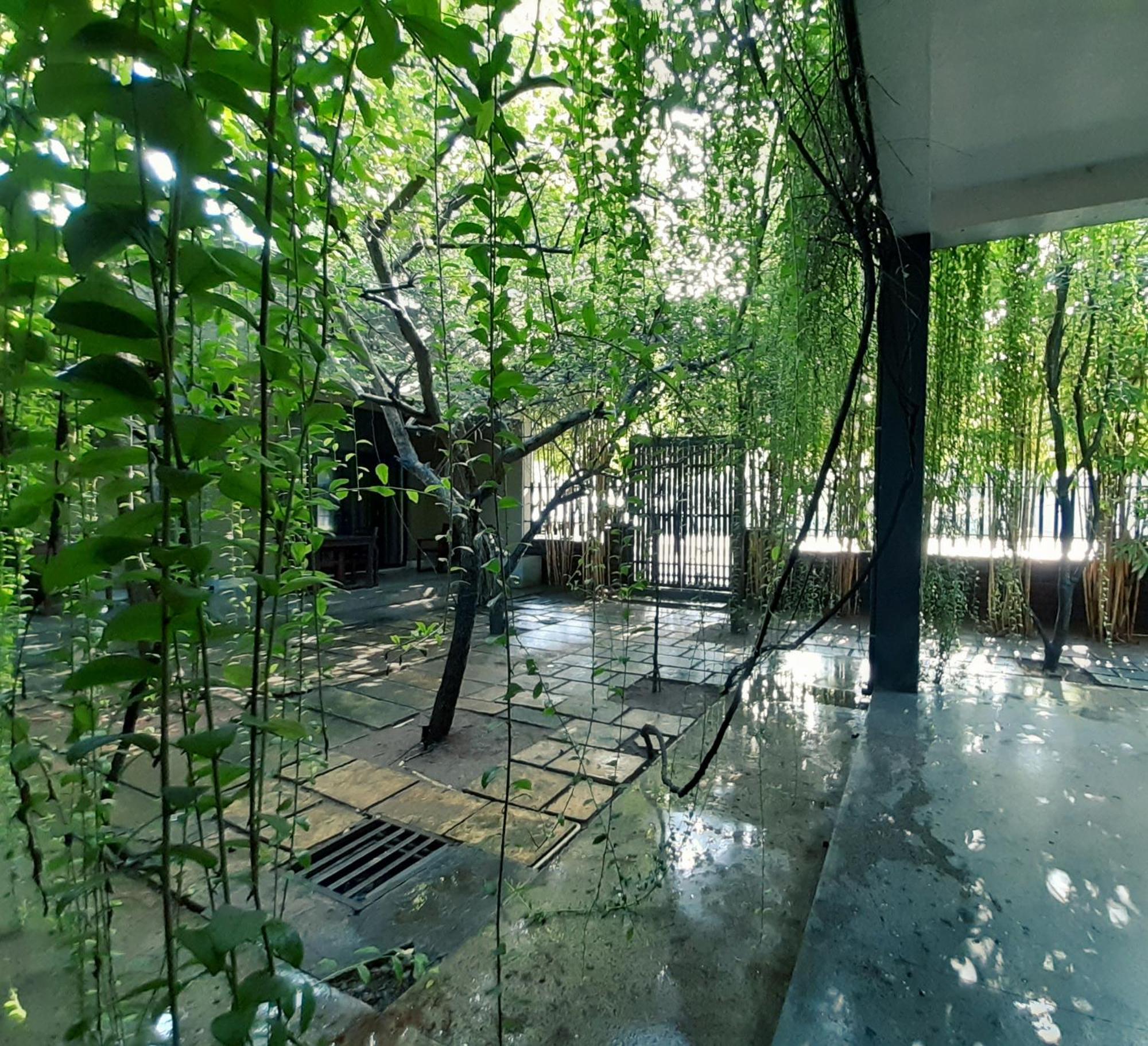 Isi Arana Eco Villa Anuradhapura Bagian luar foto